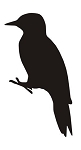 Woodpecker Silhouette v2 Decal Sticker